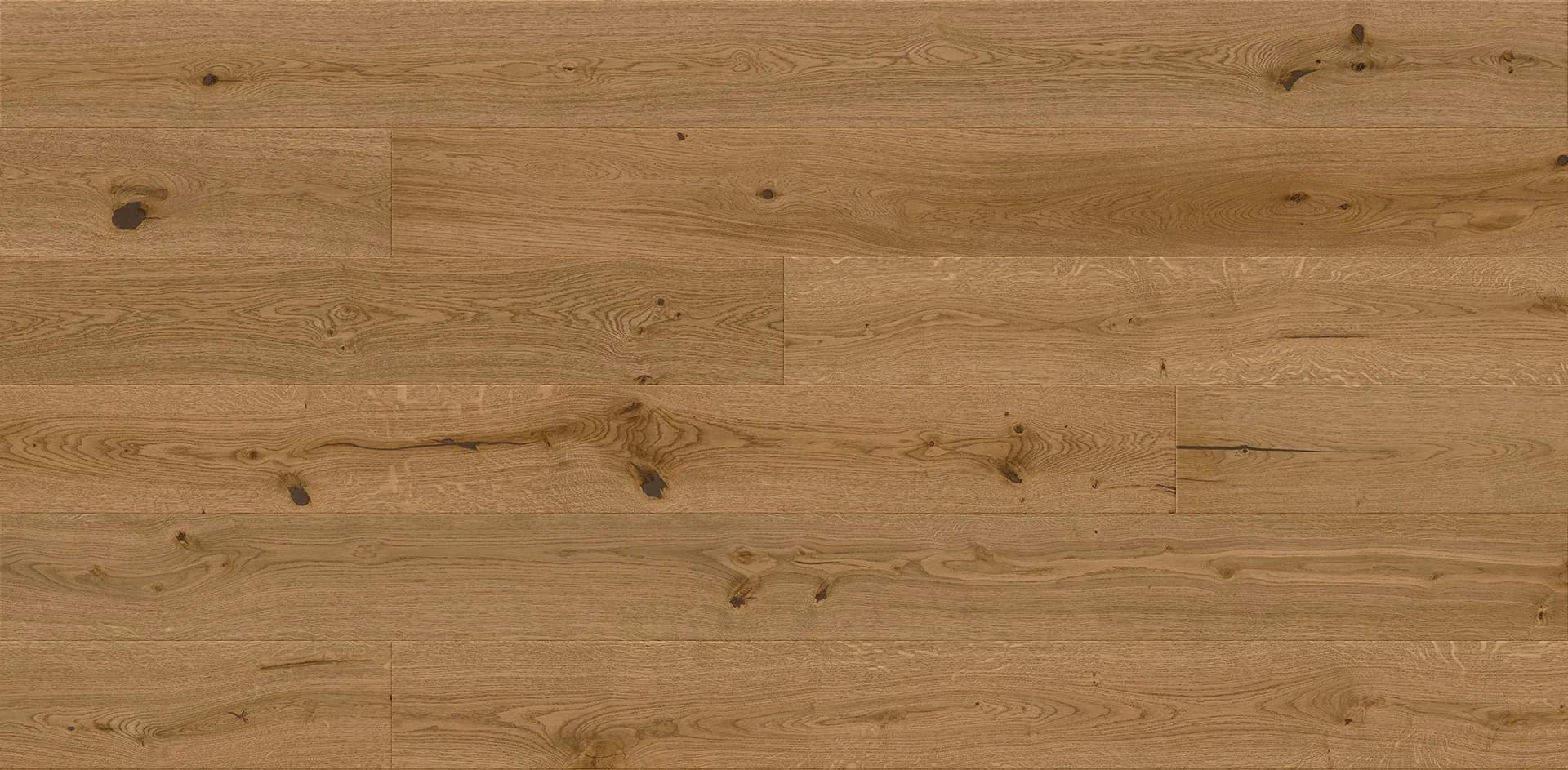 Stejar Biscotti Grande