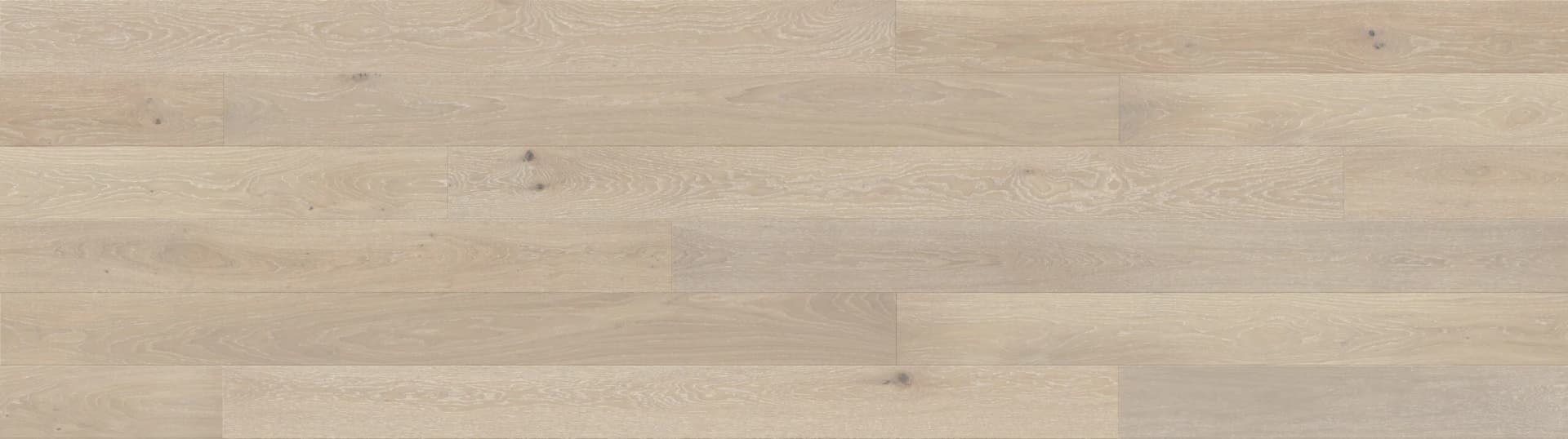 Stejar Cardamomo Grande