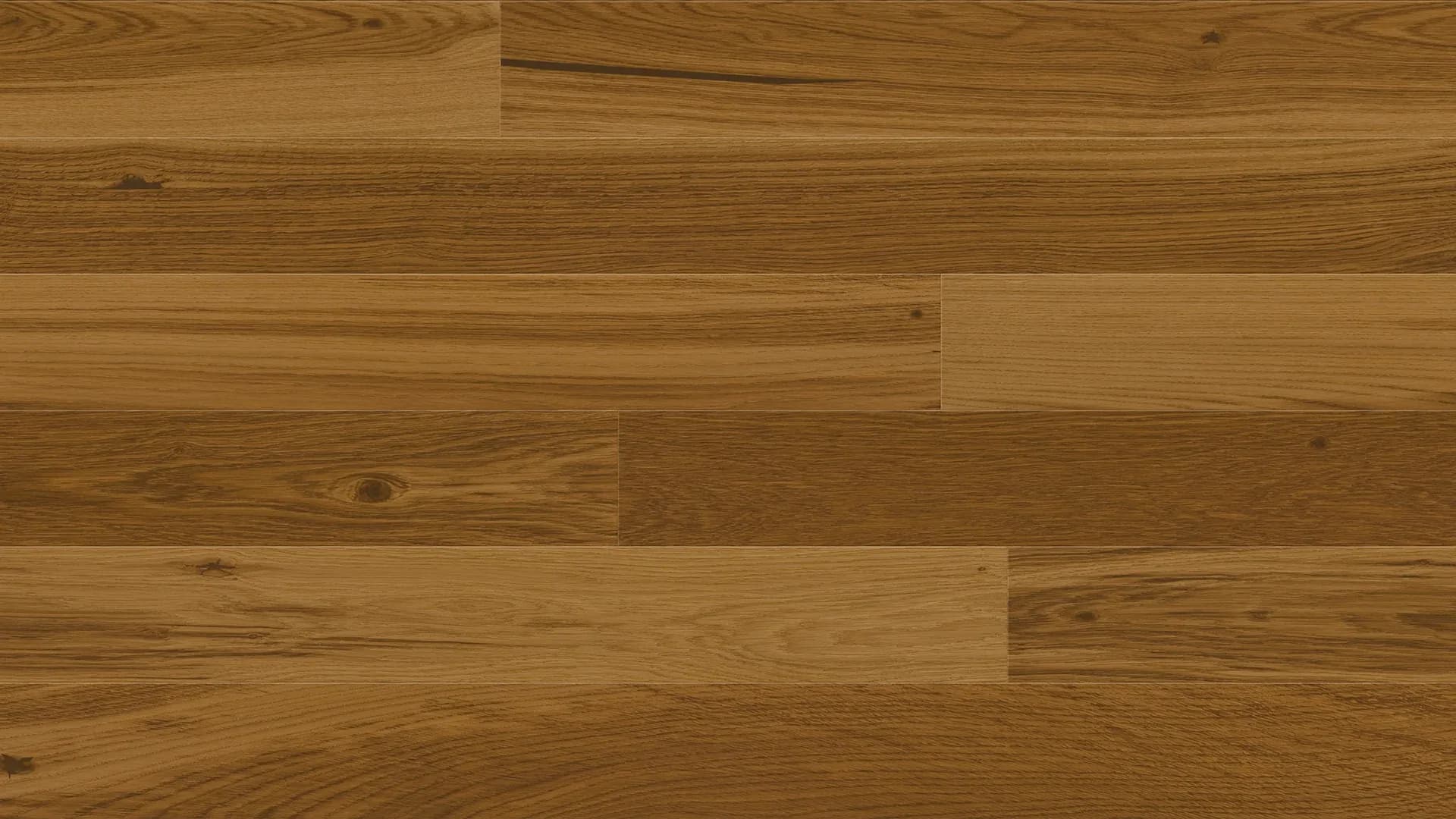 Stejar Chestnut Grande