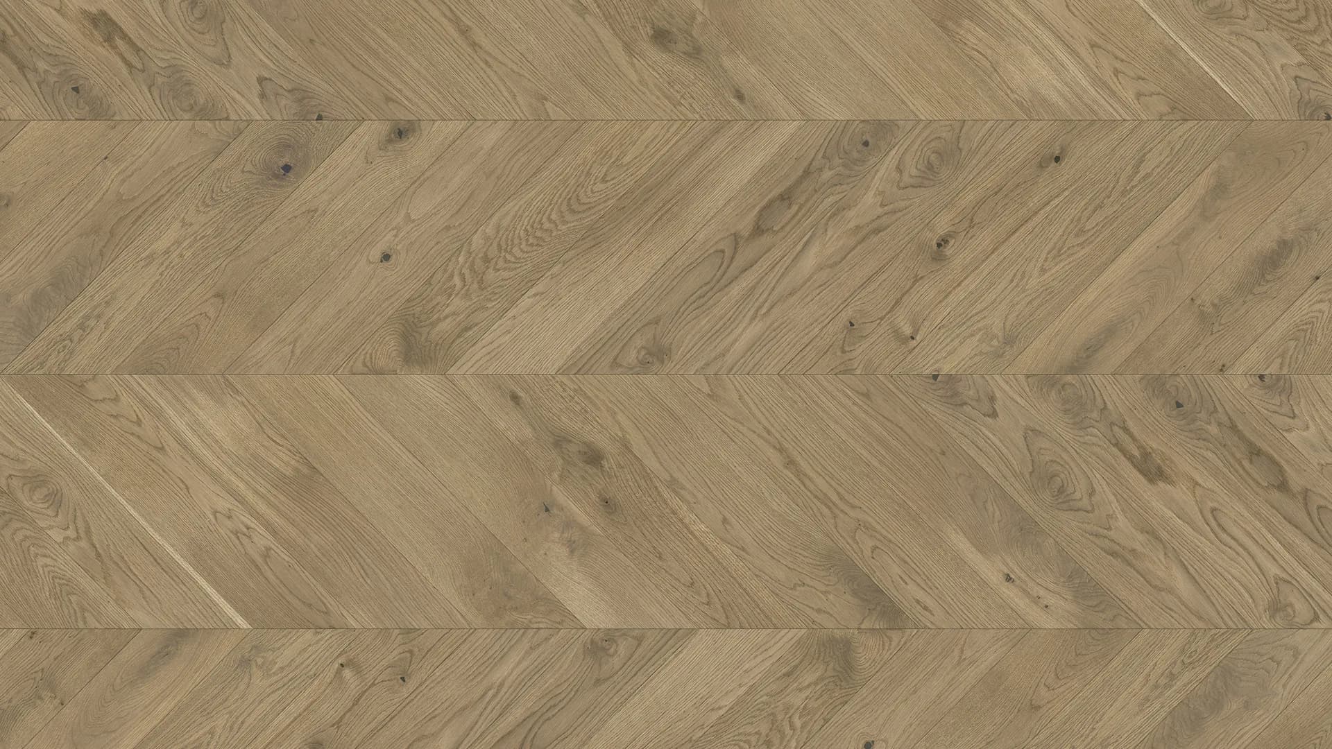 Stejar Ontario Chevron 130