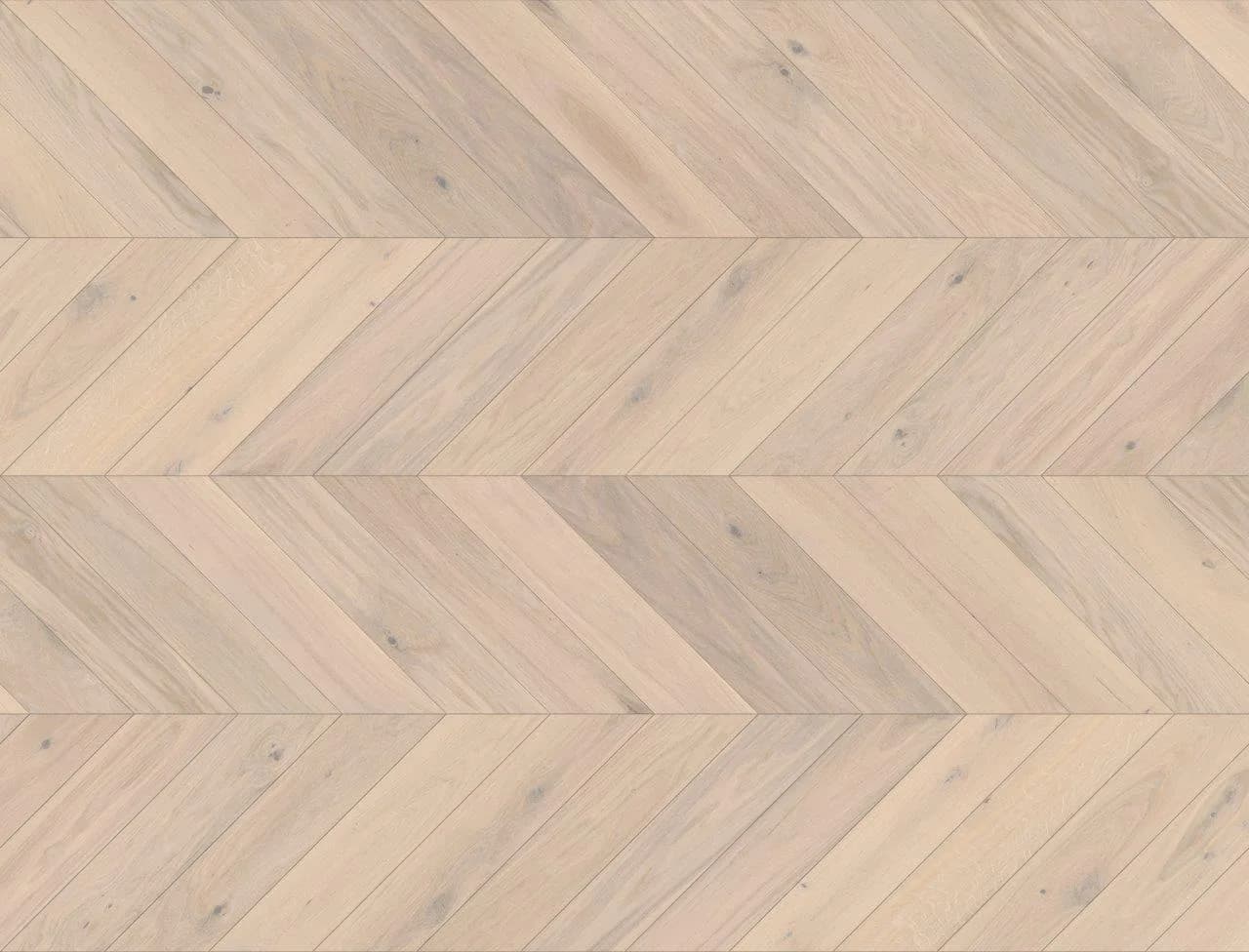Stejar Trivor Chevron 130