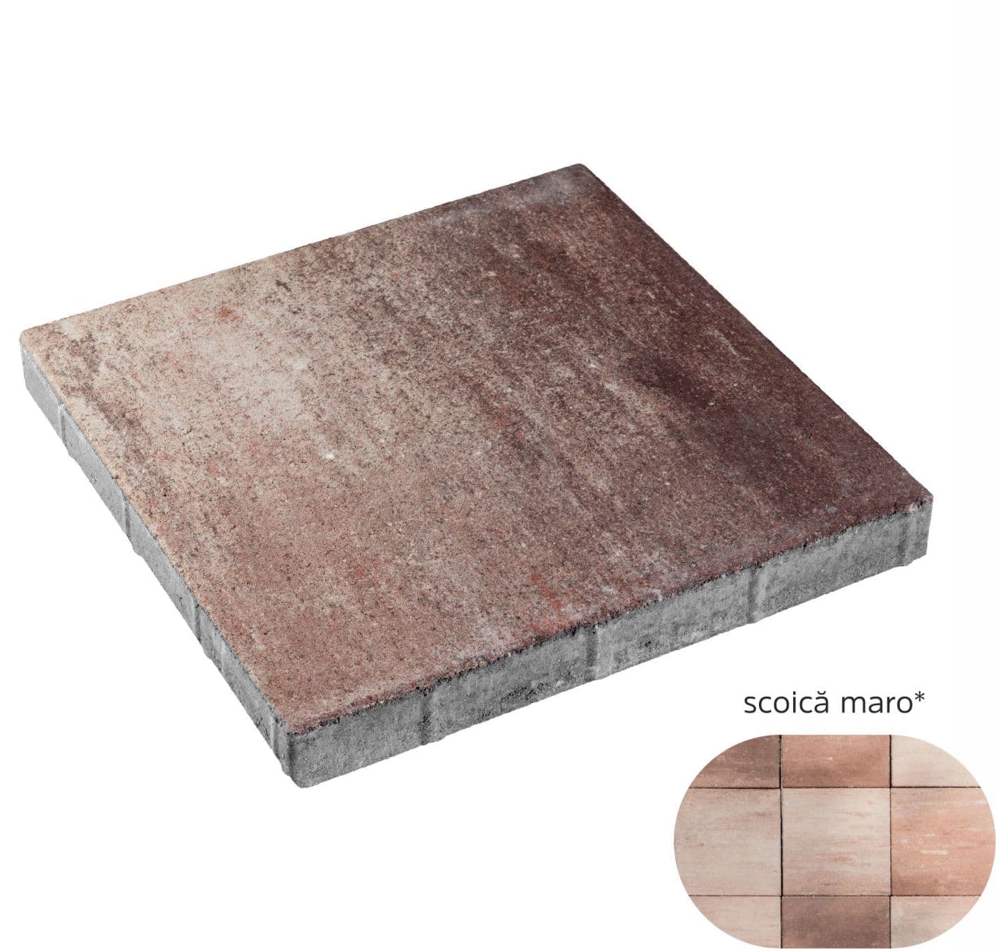 Dală WISE 60 mm scoică maro