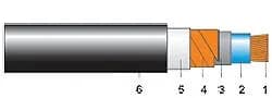 C2XE(F)2Y