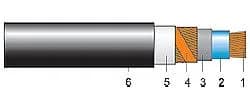 C2XS(F)2Y