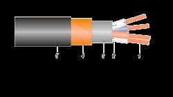 CS2XEcH