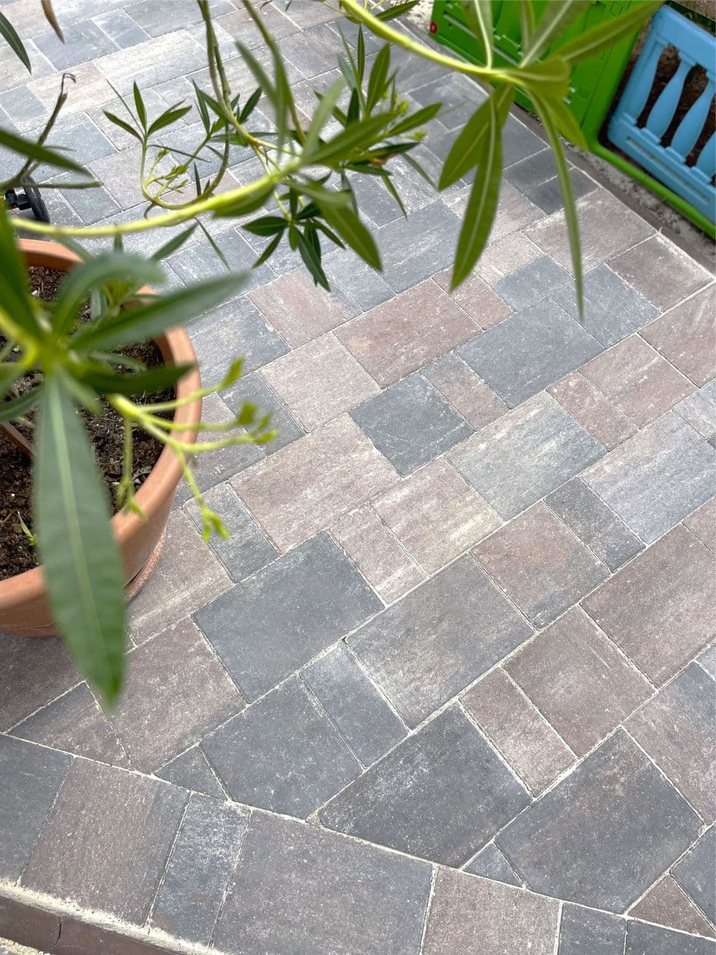 Pavaj WISE Tetra Combi 60 mm scoica maro — imagine 1