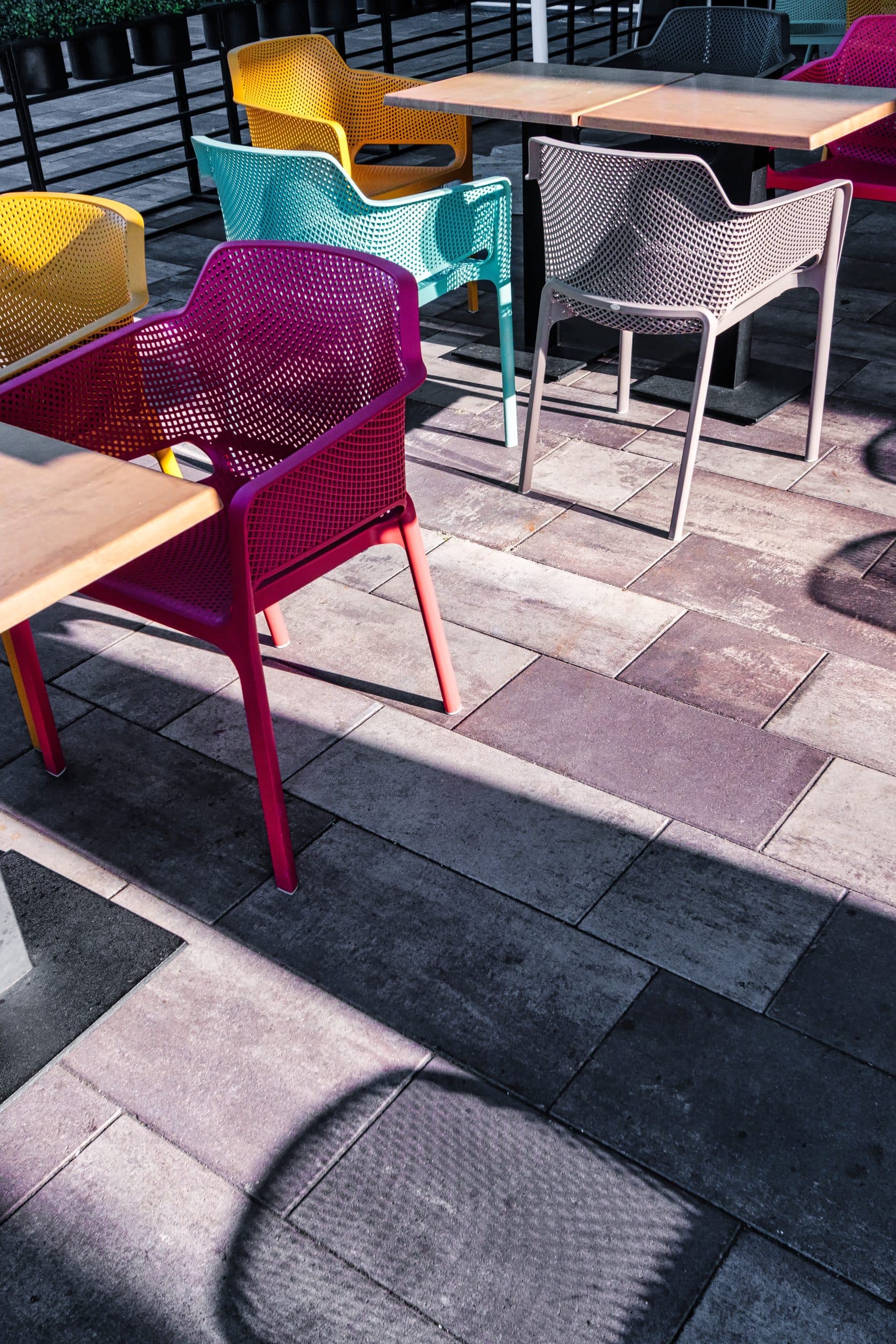 Pavaj WISE Tetra XL 60 mm scoică maro — imagine 3