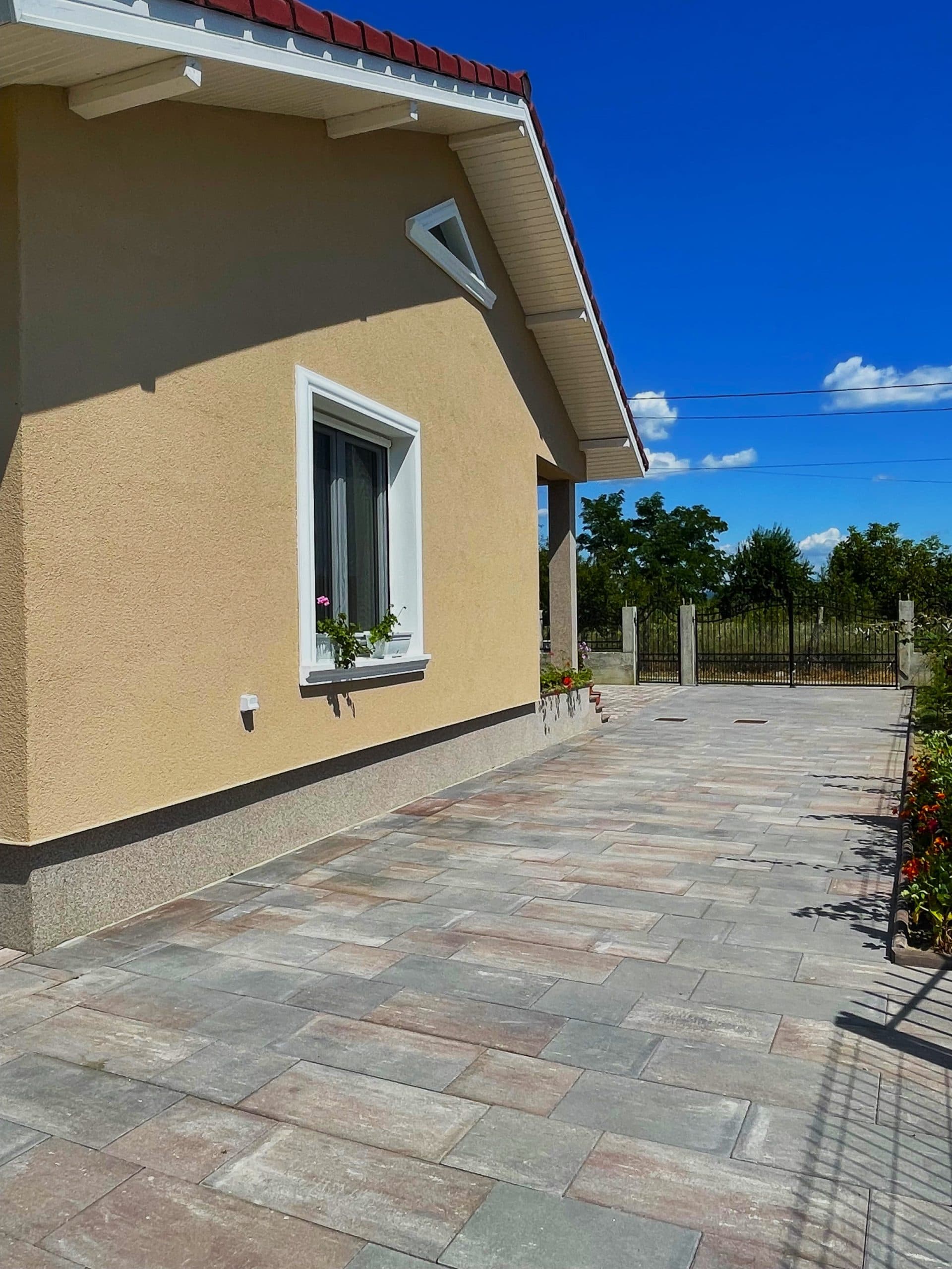 Pavaj WISE Tetra XL 60 mm scoică negru — imagine 2