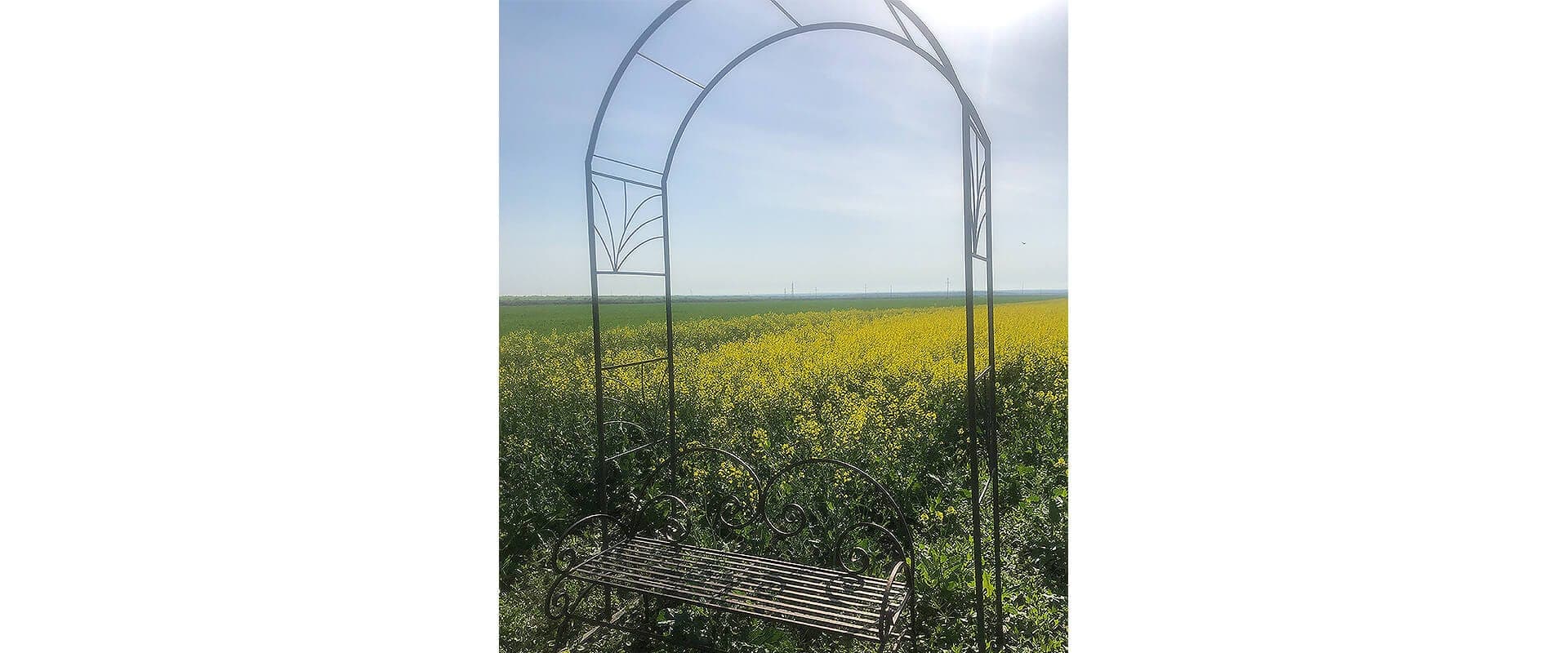 Pergola Garden Arch Rose Fast Metal — imagine 2