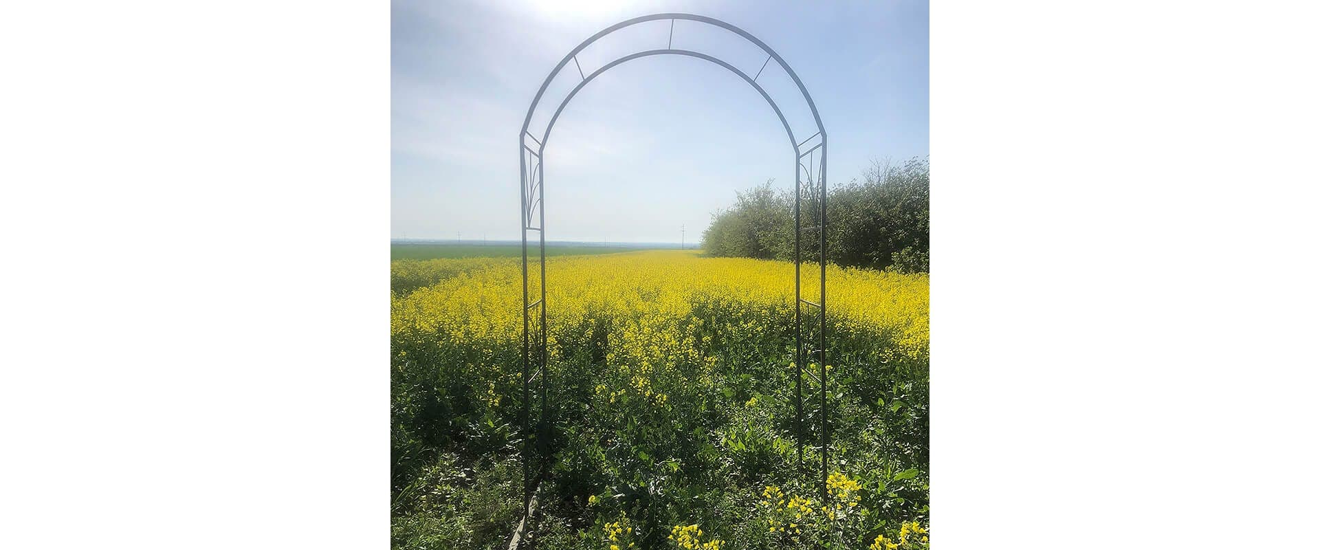 Pergola Garden Arch Rose Fast Metal