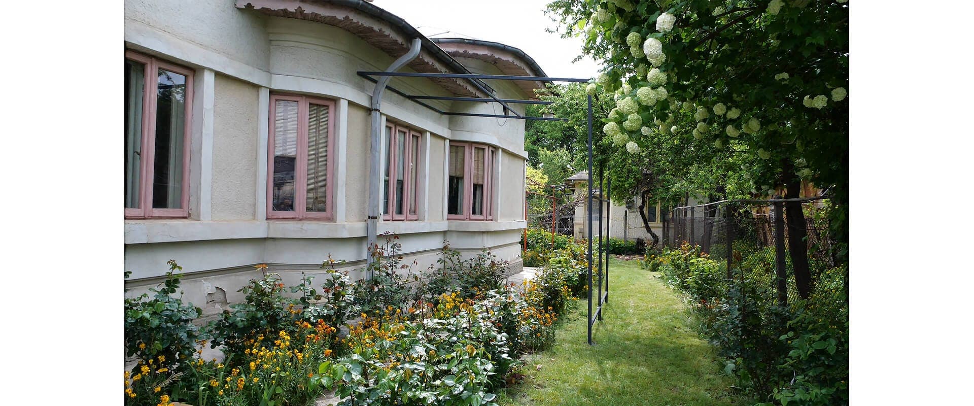 Pergola Ivy Dream Fast Metal — imagine 3