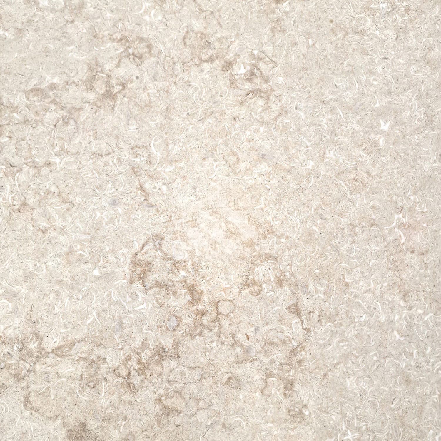 Placi Marmura MM Ivory Lustruit 60 x 60 x 2 cm