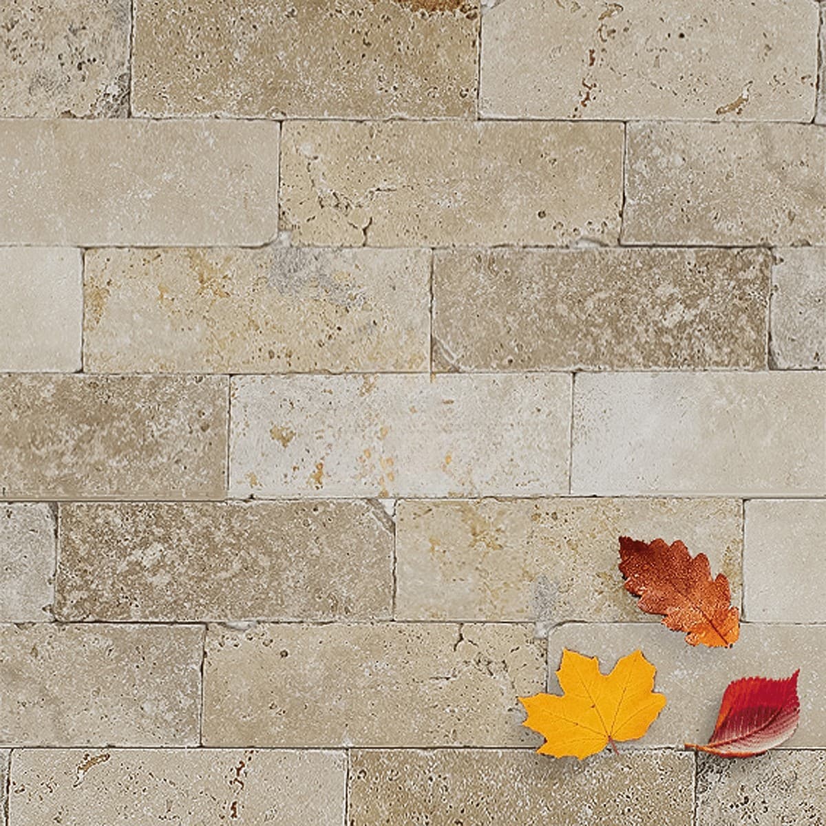 Placi Travertin Classic Rustic Antichizat 7.5 x 20.3 x 1 cm