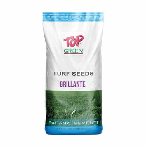Seminte Gazon  Padana Brillante sac de la 1kg la 10kg