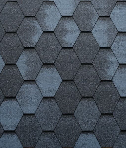 Sindrila bituminoasa Mosaik — imagine 3