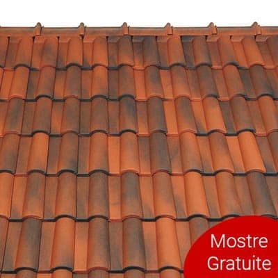 Sistem Complet Acoperis Tondach Mediteran Plus Antic 240mp — imagine 3