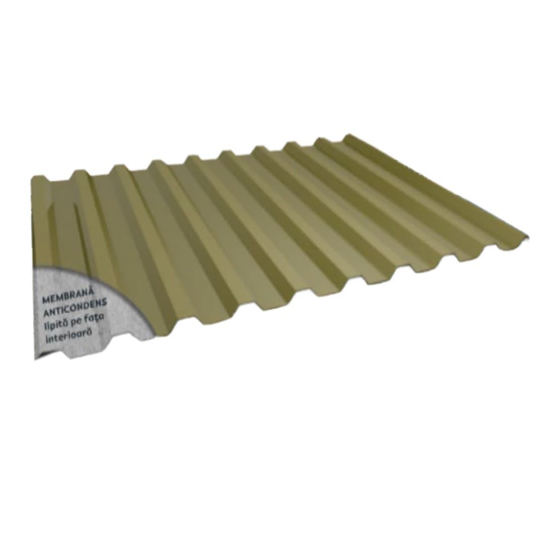 Tablă Cutată Caretta 20 A/P Smart Lustro 0.40 mm — imagine 1