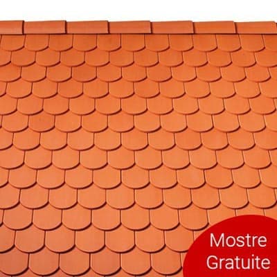 Tigla Ceramica Tondach Solzi Cedonia Natur 19x40cm — imagine 2